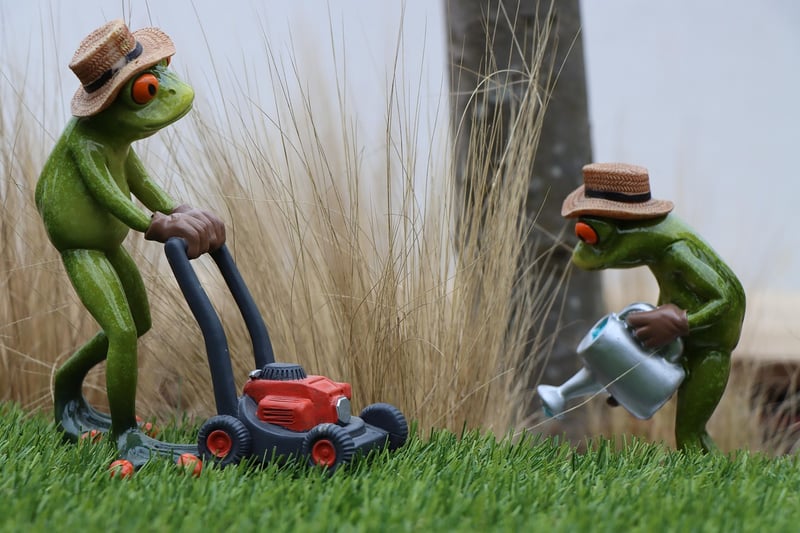 Summer Gardening